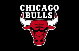 bulls